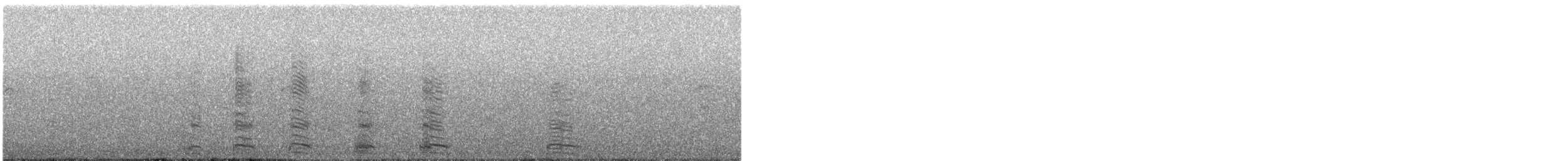 Koartza zuria - ML644818680