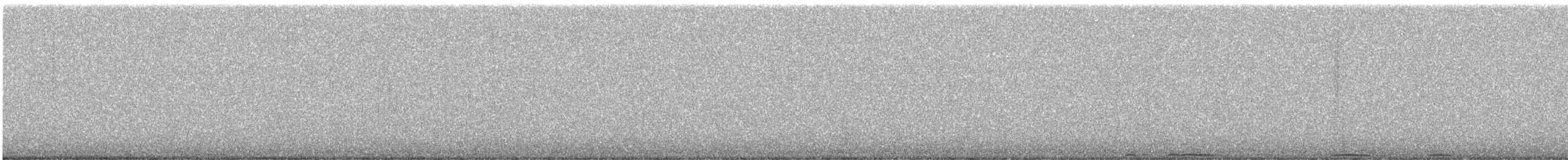 Virginiauhu - ML644819197