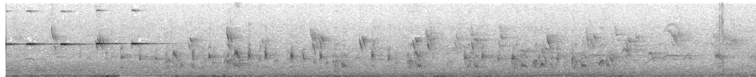 Masked Water-Tyrant - ML644819199