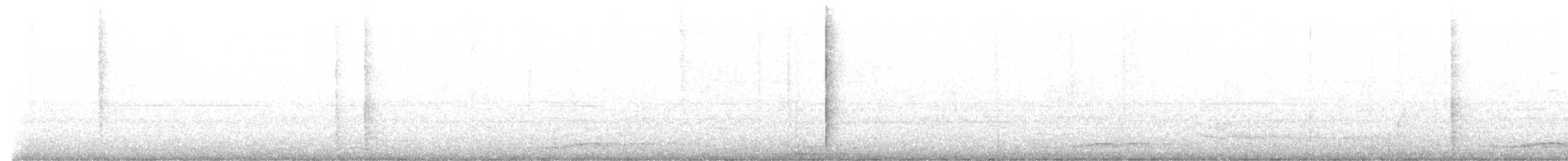 Коель східний - ML644819604