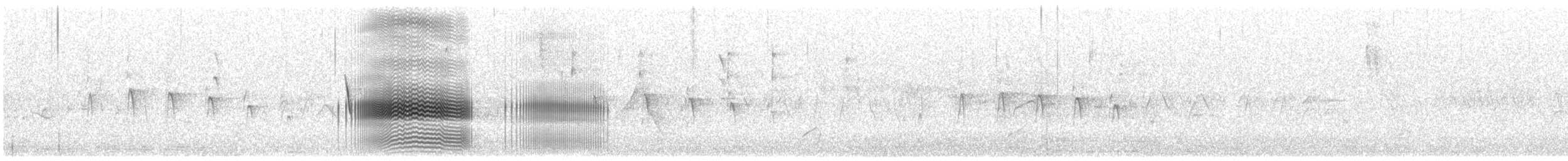 White-tipped Plantcutter - ML644819857