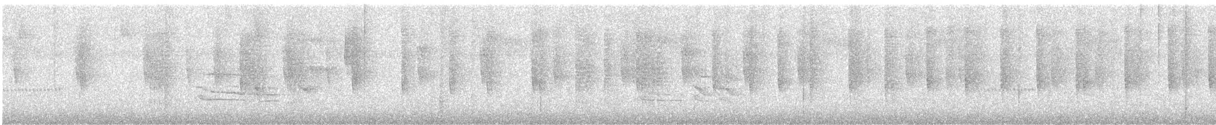 Колібрі синьочеревий - ML644819969