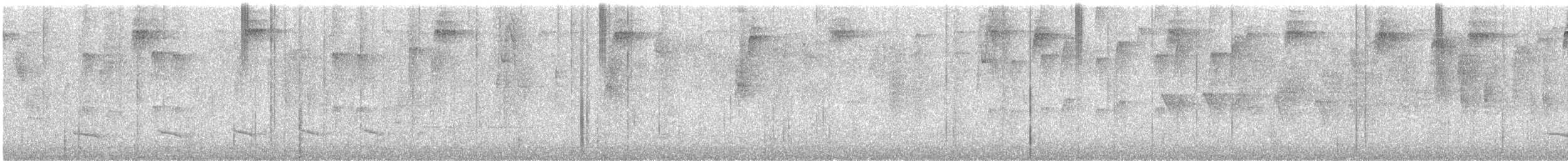 Uniform Antshrike - ML644819973