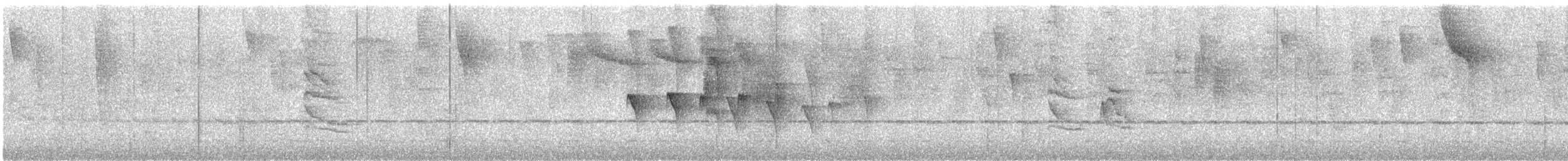 Nariño Tapaculo - ML644820013