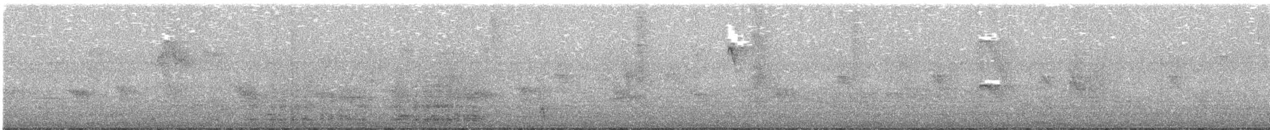 Colombian Chachalaca - ML644820164