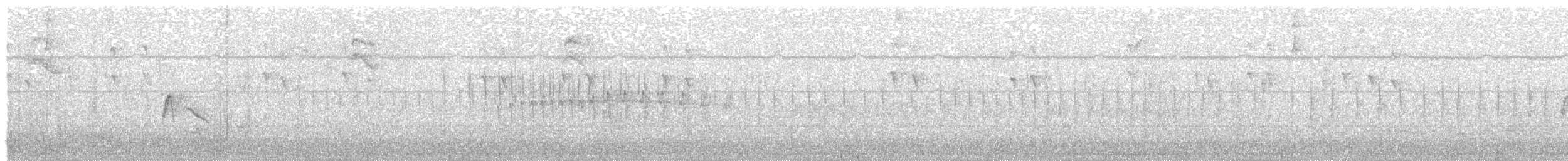 Southern Tropical Pewee - ML644820693