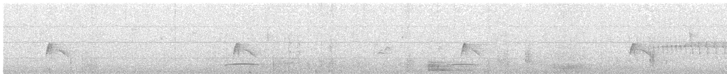 Southern Tropical Pewee - ML644820694