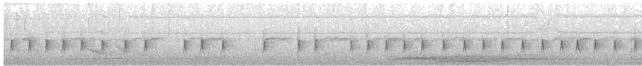 Southern Tropical Pewee - ML644820695