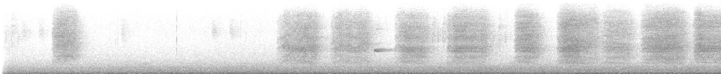 Steller's Jay - ML644821250