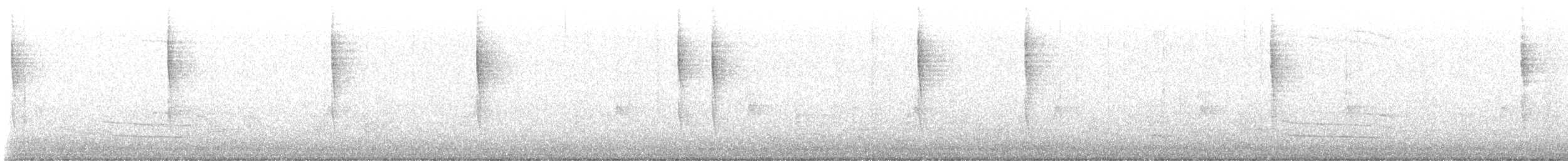 Pacific Wren - ML644821277