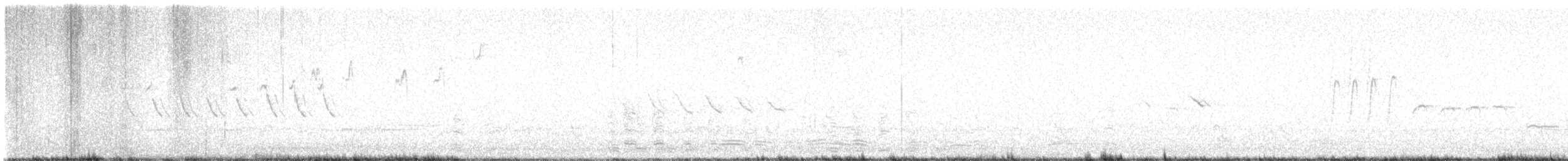 Ánsar Común (europeo) - ML644823239