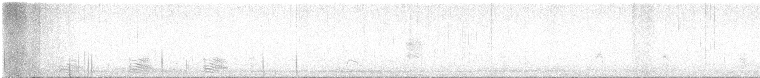 svartkråke - ML644823288