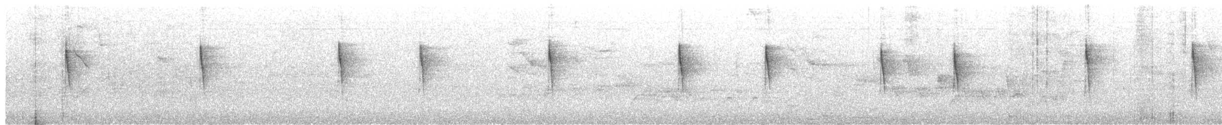 lesňáček zlatohrdlý (ssp. dominica/stoddardi) - ML644823405