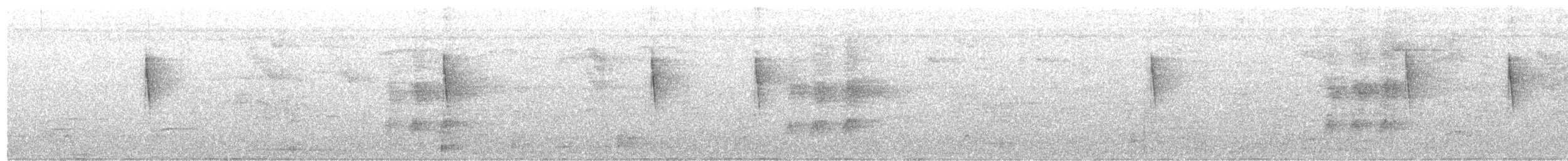 lesňáček zlatohrdlý (ssp. dominica/stoddardi) - ML644823406