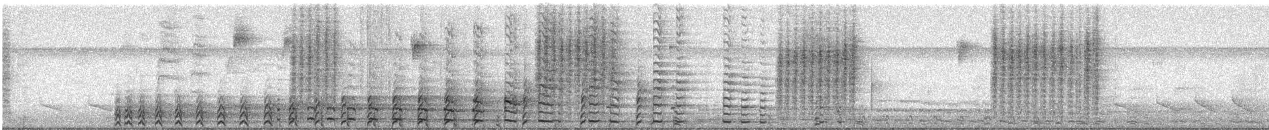 amerikasivhøne - ML644823660