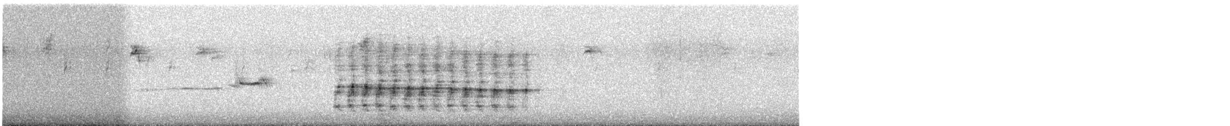 Steller's Jay - ML644823969