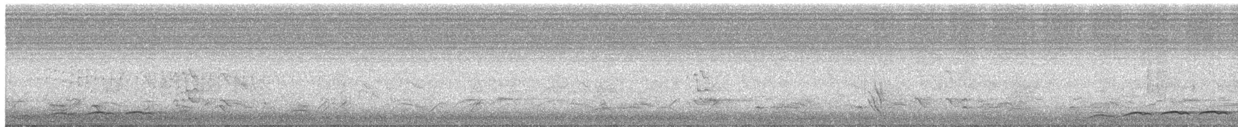 grånebbkoel - ML644824029