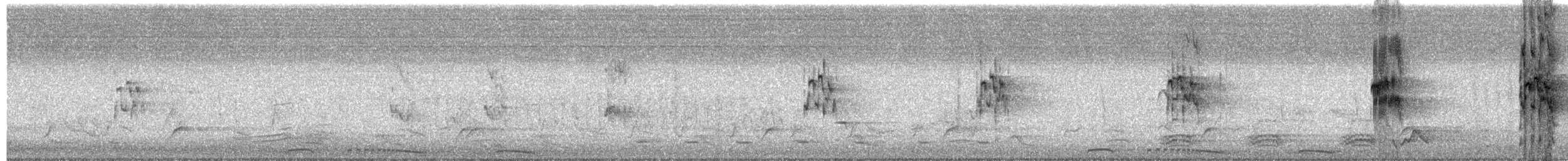 gulskjellori - ML644824032