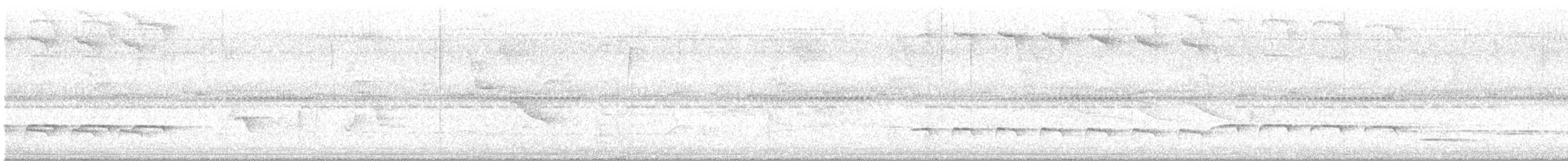 hvitvingegloøye - ML644824171