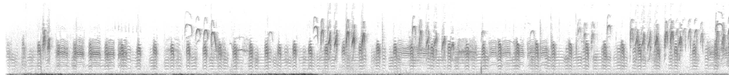 bergmeis - ML644824229