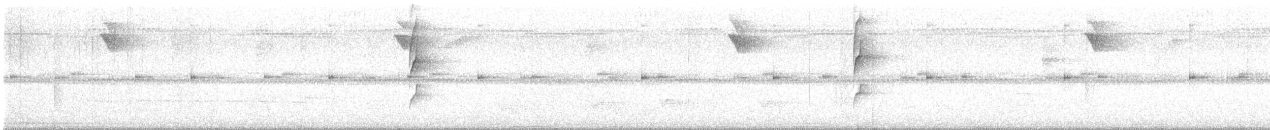 hvitstrupespadenebb - ML644824245