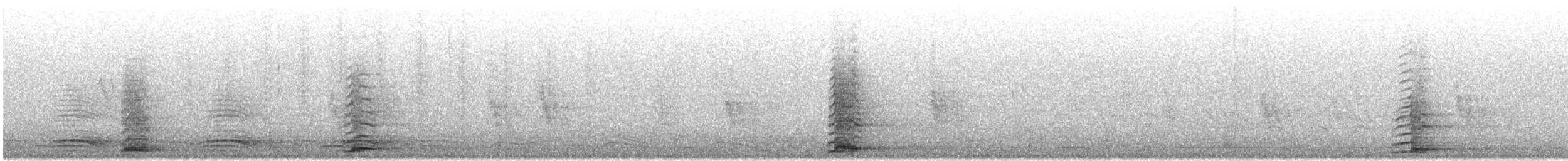 dvergsvane/sangsvane - ML644824351