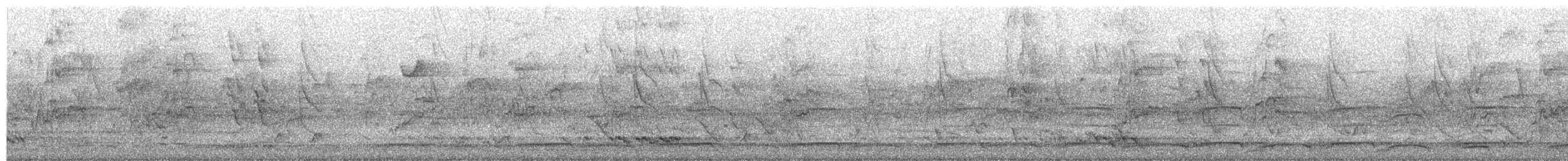 Исполинский коэль - ML644824622