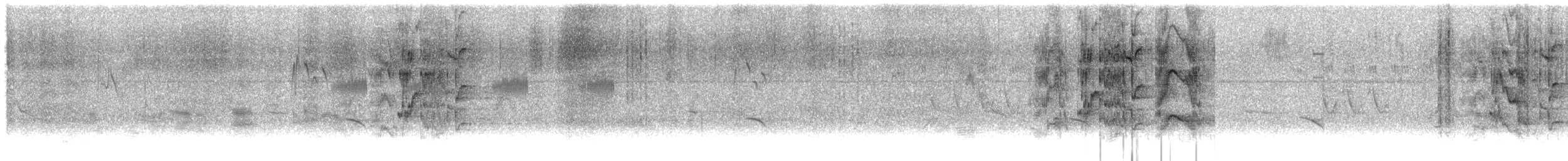 Краснолобый попугай - ML644824710