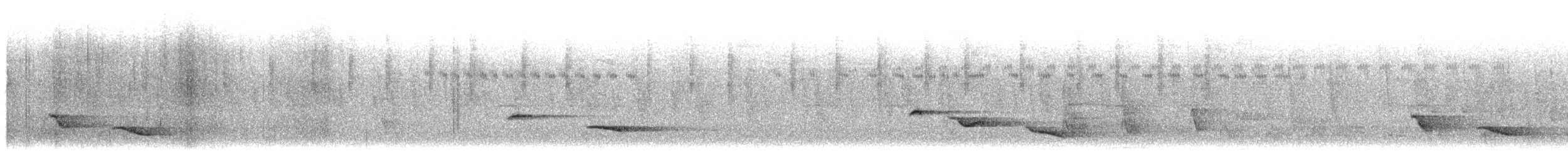 Эфиопский рыжехвост - ML644824794