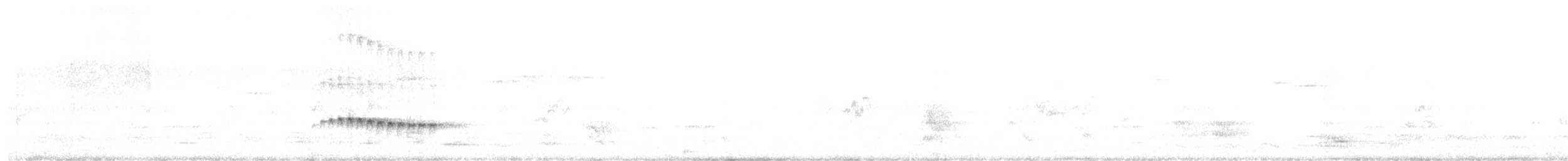 Веерохвостая кукушка - ML644825110