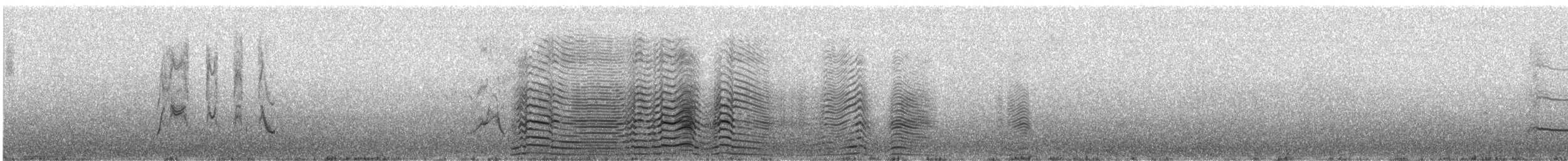 King Penguin - ML644825582