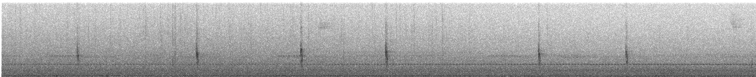 Common Grackle - ML644826639