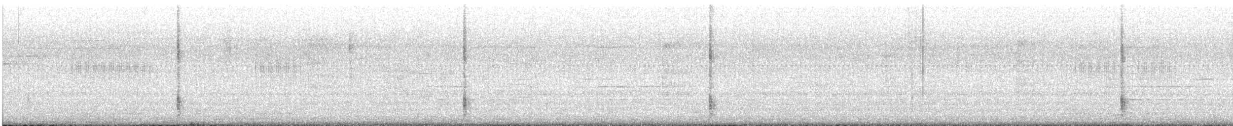 grackle sp. - ML644826681