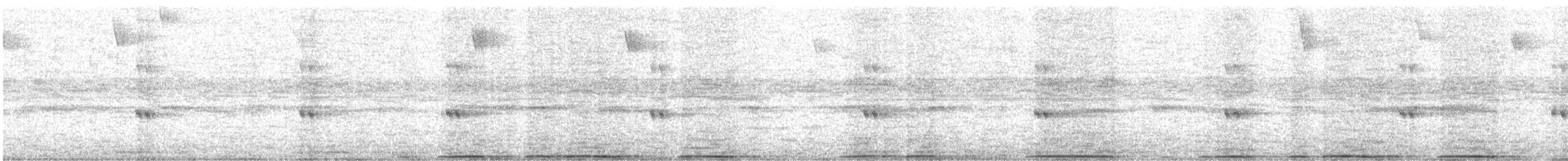 Virginiauhu - ML644827268