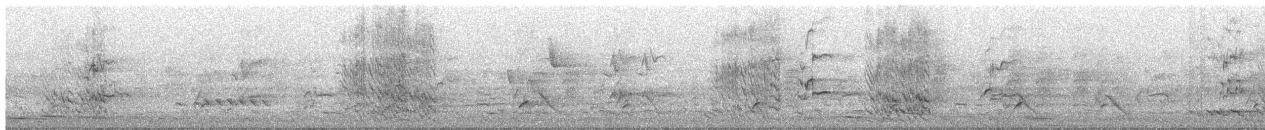 Black-faced Cuckooshrike - ML644828847