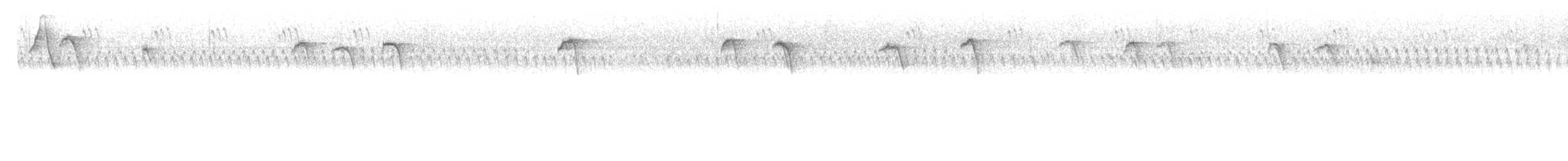 Американская гренадерка - ML644829280