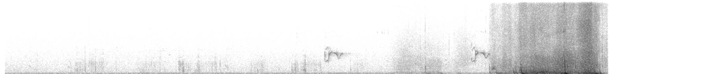 Чечевиця кармінова - ML644829604