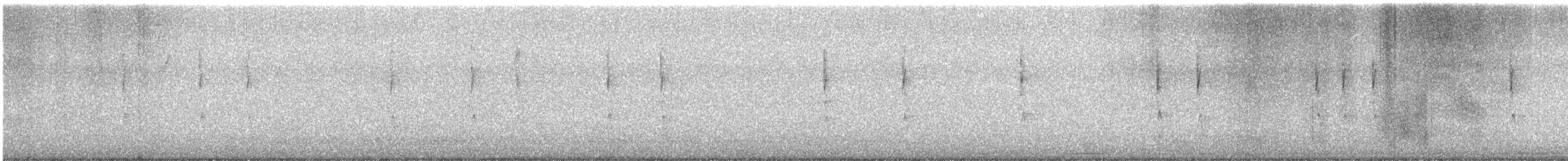 Winter Wren - ML644829672