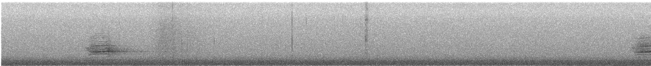 Virginiauhu - ML644829880