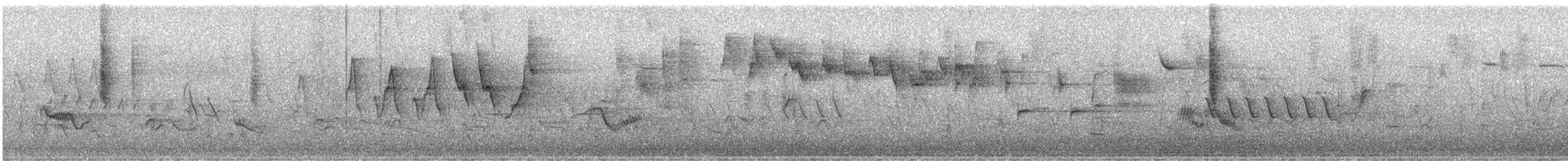 Black-and-white Warbler - ML644830158