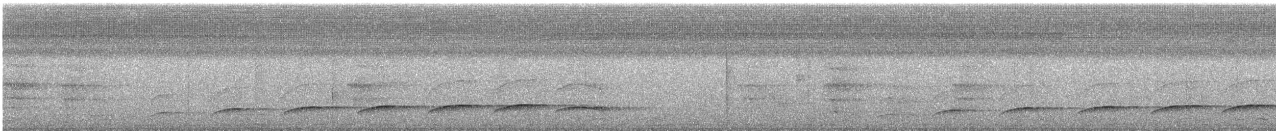 Dull-capped Attila - ML644830235