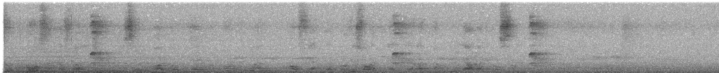 Carpintero Real - ML644830269