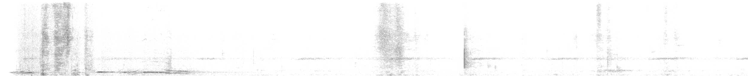 Barred Owl - ML644830468