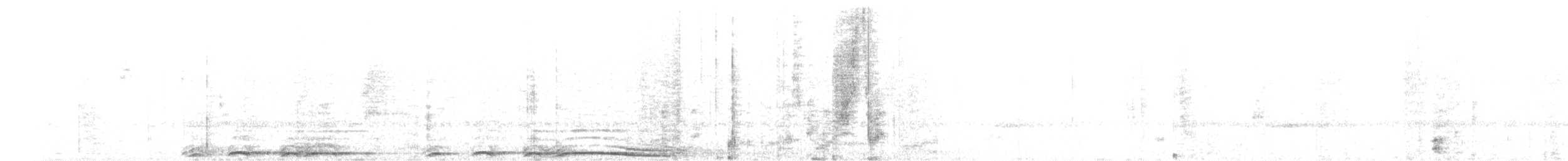 Barred Owl - ML644830469