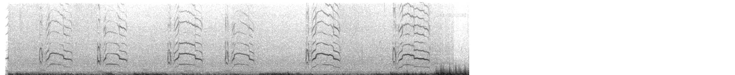 Variable Oystercatcher - ML644831014