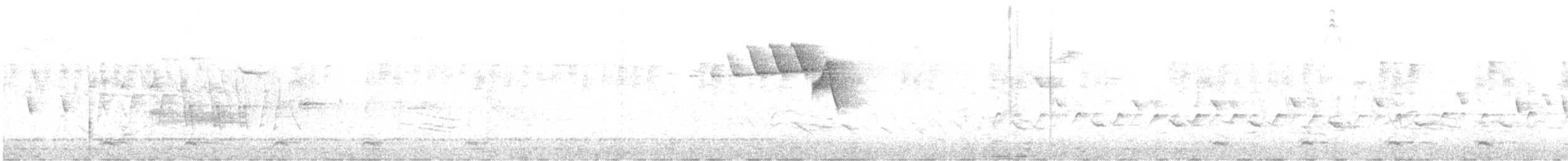 Eastern Warbling Vireo - ML644831351