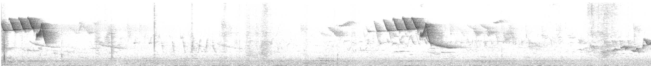 Eastern Warbling Vireo - ML644831352