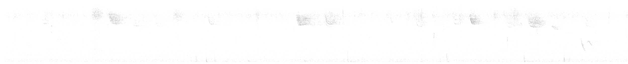 Blue-headed Vireo - ML644833062