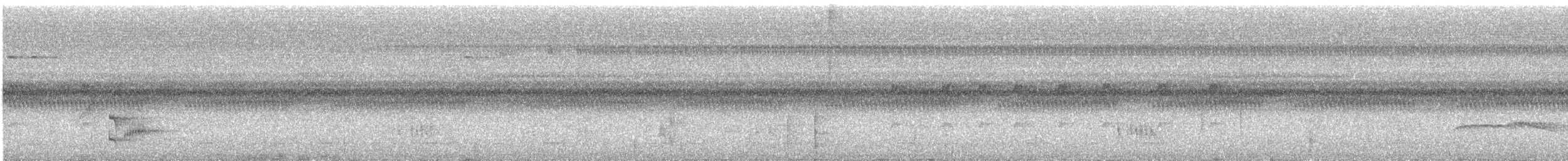 Blue-capped Manakin - ML644833639