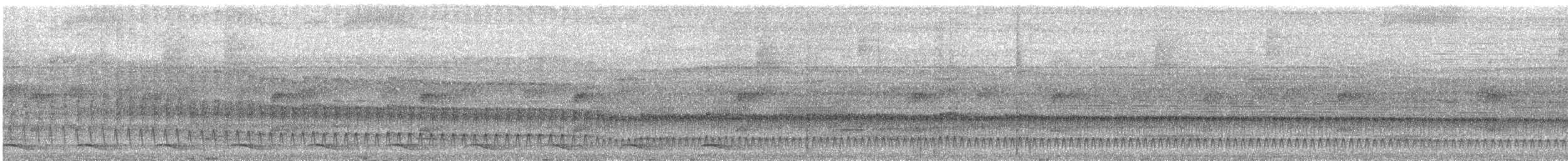 Plain-brown Woodcreeper - ML644833866